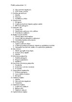 Paraugs 'Riska teorija', 2.