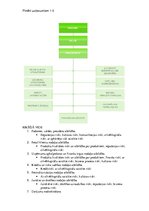 Paraugs 'Riska teorija', 4.