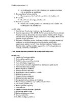 Paraugs 'Riska teorija', 5.