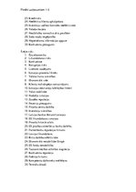 Paraugs 'Riska teorija', 6.