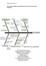 Paraugs 'Riska teorija', 7.