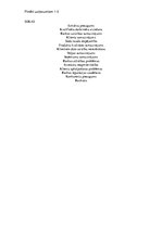 Paraugs 'Riska teorija', 8.