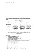 Paraugs 'Riska teorija', 9.