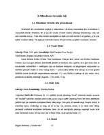 Referāts 'Virtuālie tēli', 10.