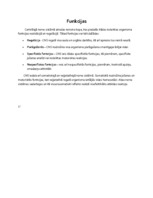 Konspekts 'Centrālā nervu sistēma', 5.