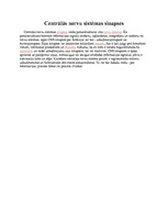 Konspekts 'Centrālā nervu sistēma', 6.