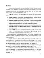 Referāts 'Iedzīvotāju skaita izmaiņas Aizkraukles, Jaunjelgavas, Pļaviņu, Skrīveru un Kokn', 25.