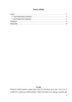 Referāts 'Informācijas ētikas mūsdienu izaicinājumi', 2.