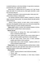 Diplomdarbs 'Matemātisko priekšstatu un jēdzienu veidošanas īpatnības bērniem ar redzes trauc', 4.