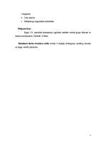 Diplomdarbs 'Matemātisko priekšstatu un jēdzienu veidošanas īpatnības bērniem ar redzes trauc', 5.