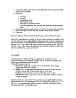 Referāts 'Grāmata kā mākslas darbs', 8.