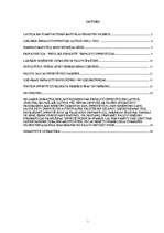 Referāts 'Investīcijas', 1.