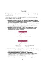 Konspekts 'Globālais un starptautiskais mārketings', 5.