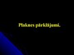Prezentācija 'Plaknes pārklājumi', 1.