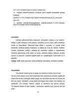 Referāts 'Kontaktlēcu ietekme uz acs veselību', 26.