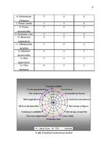Referāts 'Uzņēmuma “Welcome Travel” mārketinga vides un stratēģijas analīze un darbības pl', 13.