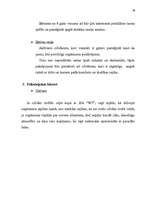 Referāts 'Uzņēmuma “Welcome Travel” mārketinga vides un stratēģijas analīze un darbības pl', 39.