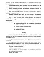 Konspekts 'Vielmaiņas slimības', 5.