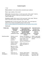 Konspekts 'Latviešu valodas stundas konspekts 3.klasei', 1.