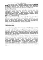 Referāts 'Tiesu reforma', 9.