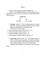 Referāts 'Projekta kvalificēšana', 3.