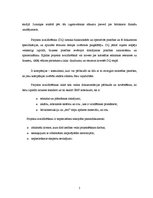 Referāts 'Projekta kvalificēšana', 5.