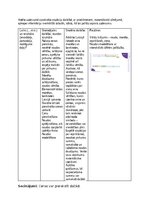 Konspekts 'Matemātikas mācību jomas darbu apkopojums', 6.