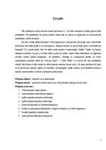 Referāts 'Bīstamie šampūni', 3.