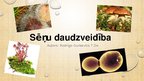 Prezentācija 'Sēņu daudzveidība', 1.