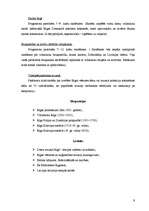 Referāts 'Muzeju pedagoģiskā darbība', 9.