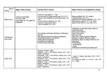 Referāts 'Muzeju pedagoģiskā darbība', 10.