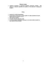 Biznesa plāns 'SIA "Varavīksne"', 5.