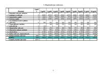 Biznesa plāns 'SIA "Varavīksne"', 11.