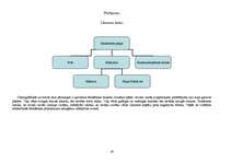 Biznesa plāns 'SIA "Varavīksne"', 18.