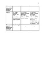 Referāts 'Iepriekšējās deklarēšanas būtība un kopsavilkuma deklarācijas pamatprincipi', 13.