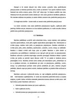 Biznesa plāns 'Biznesa plāns "Wild Life"', 17.