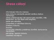 Prezentācija 'Stress', 8.