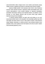 Eseja 'Latvijas izaugsme', 5.