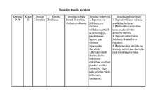 Prakses atskaite 'Latviešu valodas un literatūras stundu konspekts 11.klasē', 13.