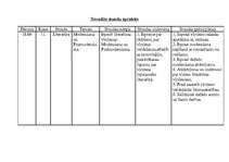 Prakses atskaite 'Latviešu valodas un literatūras stundu konspekts 11.klasē', 14.