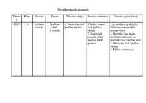 Prakses atskaite 'Latviešu valodas un literatūras stundu konspekts 11.klasē', 39.