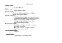 Prakses atskaite 'Latviešu valodas un literatūras stundu konspekts 11.klasē', 47.