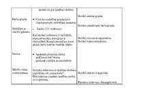 Prakses atskaite 'Latviešu valodas un literatūras stundu konspekts 11.klasē', 54.