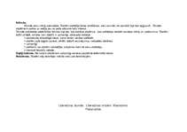 Prakses atskaite 'Latviešu valodas un literatūras stundu konspekts 11.klasē', 57.