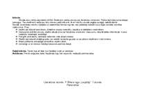 Prakses atskaite 'Latviešu valodas un literatūras stundu konspekts 11.klasē', 58.