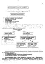 Prakses atskaite 'Lietvedības prakses atskaite', 8.