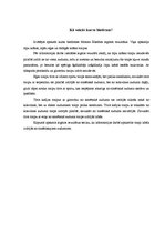 Referāts 'Trīs traipu veidu tīrīšana', 11.