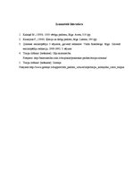 Referāts 'Trīs traipu veidu tīrīšana', 13.