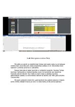 Eseja 'Kursa darbs par Čehijas mežiem', 5.