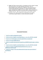 Eseja 'Kursa darbs par Čehijas mežiem', 15.